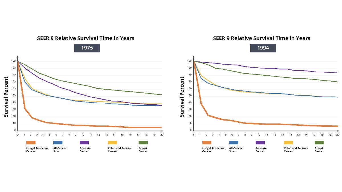 SEER 9 Relative Survival Times in Years