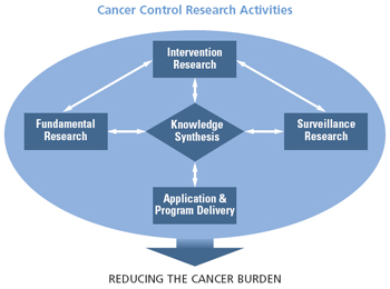 This diagram illustrates the synthesis of fundamental research, intervention research, and surveillance research with application and program delivery to reduce the burden of cancer.