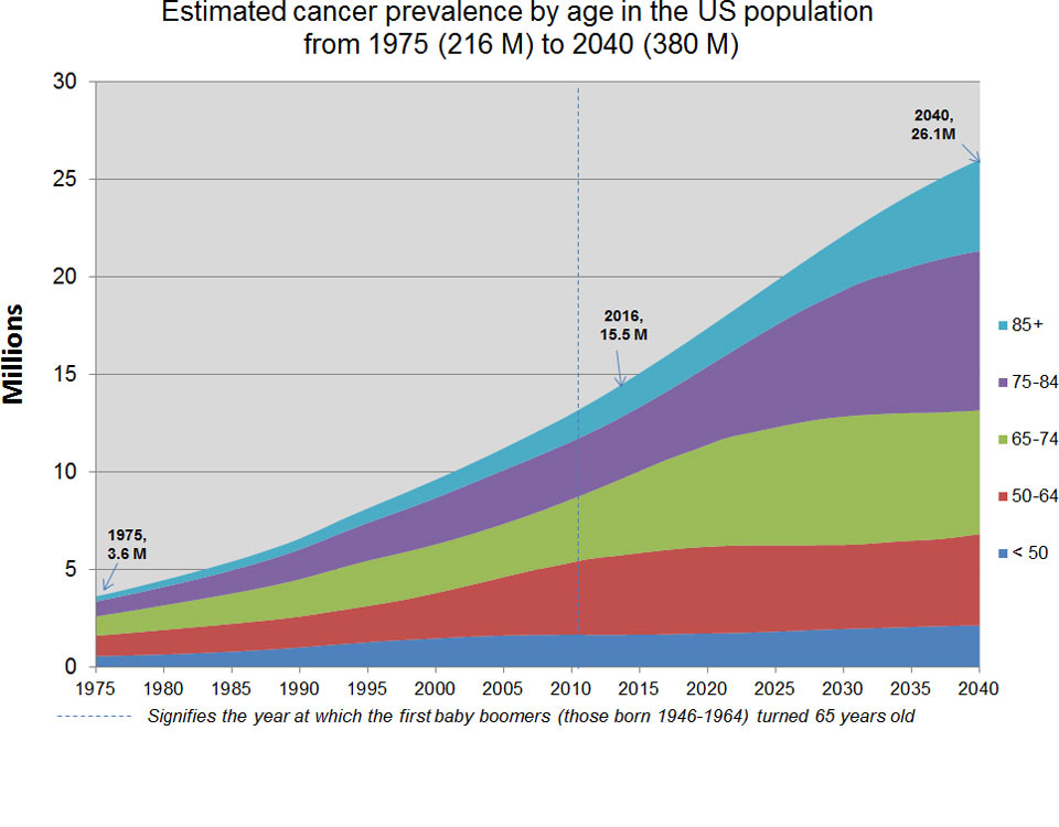 Estimated Cancer Prevalence by Age in the US Population from 1975 to 2040