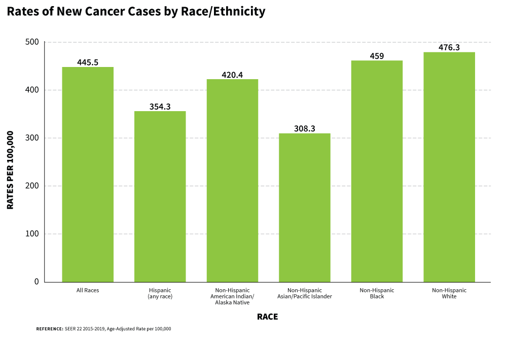 A bar chart of rates that shows new cancer cases by race/ethnicity.