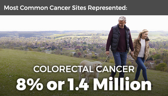 A man and woman walking a dog on a grassy hill while holding hands with text “Most common cancer sites represented: colorectal cancer 9 percent or 1.4 million.”