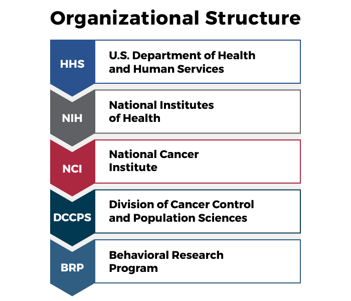 BRP Organizational Structure. Behavioral Research Program. Division of Cancer Control and Population Sciences. National Cancer Institute. National Institutes of Health. US Department of Health and Human Services