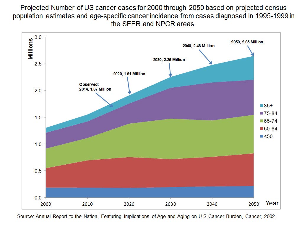 The NCI Director referred to this DCCPS graphic on aging and cancer in his testimony to the U.S. Senate on May 7, 2014